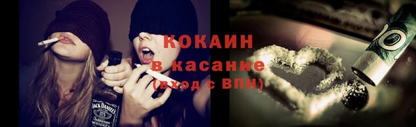 сатива Алзамай