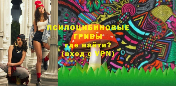 стаф Алексин