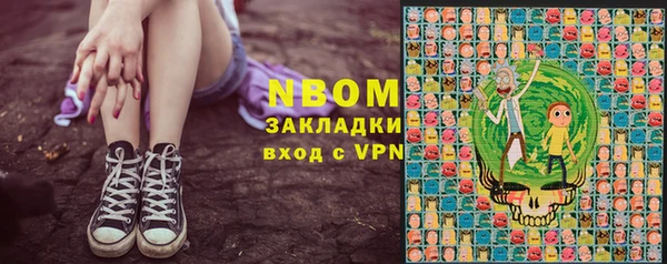 стаф Алексин