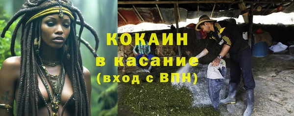стаф Алексин