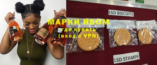 стаф Алексин
