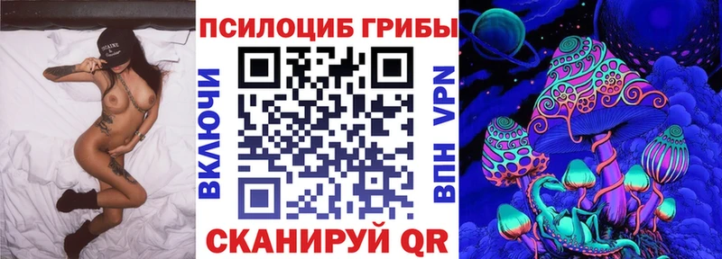 Псилоцибиновые грибы мицелий Егорьевск