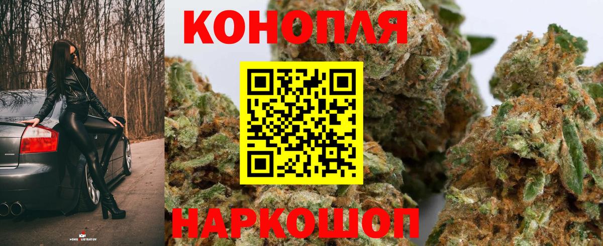 Каннабис планчик  Бошки марихуана тримм  Егорьевск  Шишки марихуана конопля  Вход с VPN 